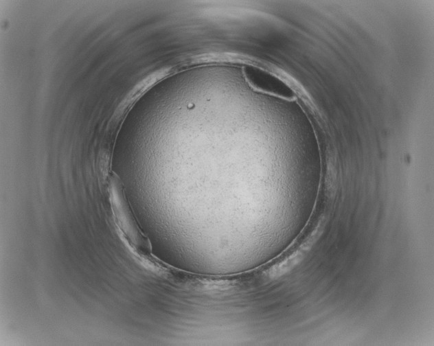 X0000081280849200701251626