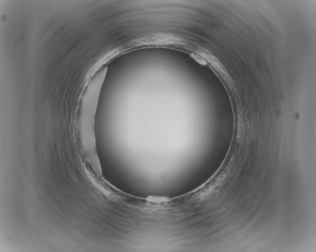 X0000081280850200701251626