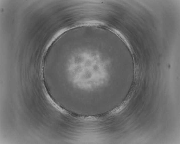 X0000081280851200701251626