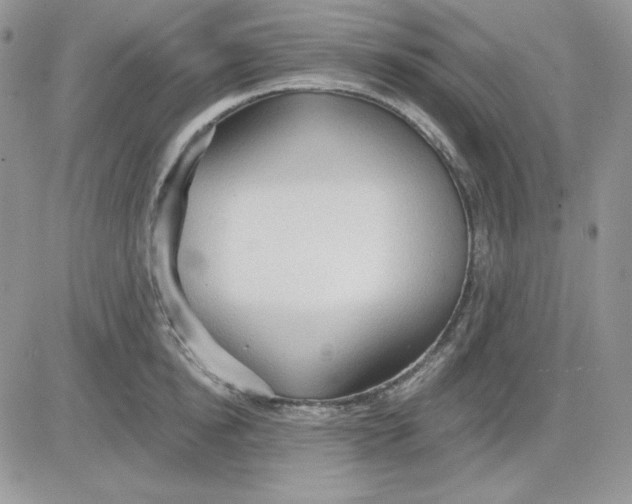 X0000081280854200701251626