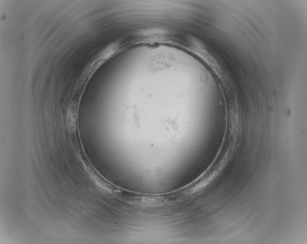 X0000081280857200701251626