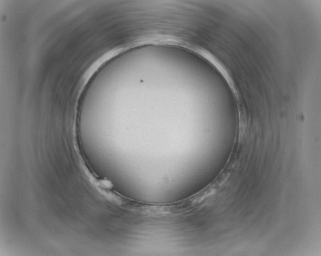 X0000081280861200701251626