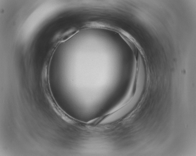 X0000081280862200701251626