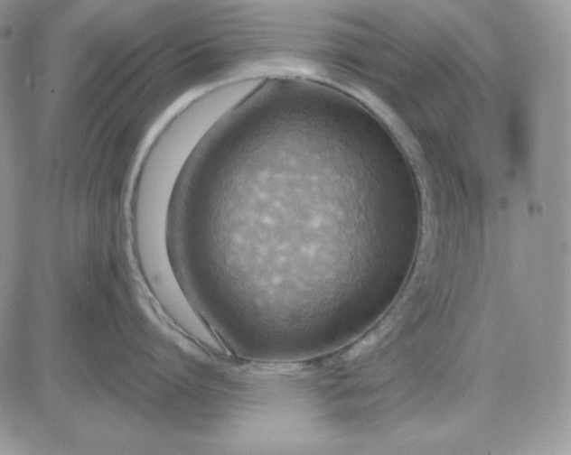 X0000081280864200701251626