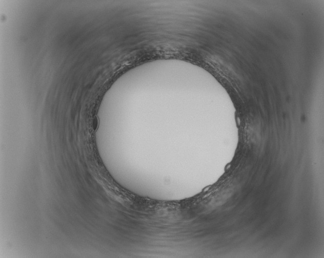 X0000081280865200701251625