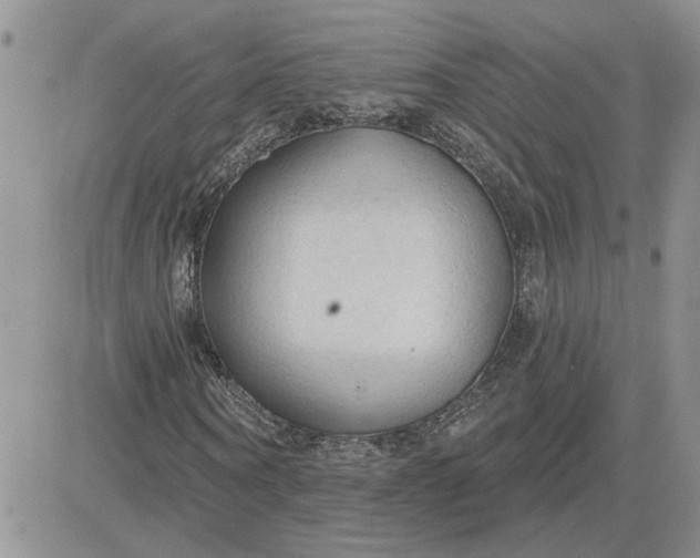 X0000081280866200701251625