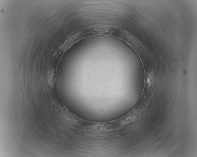 X0000081280867200701251625