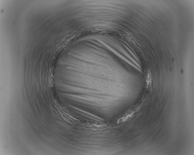 X0000081280868200701251625