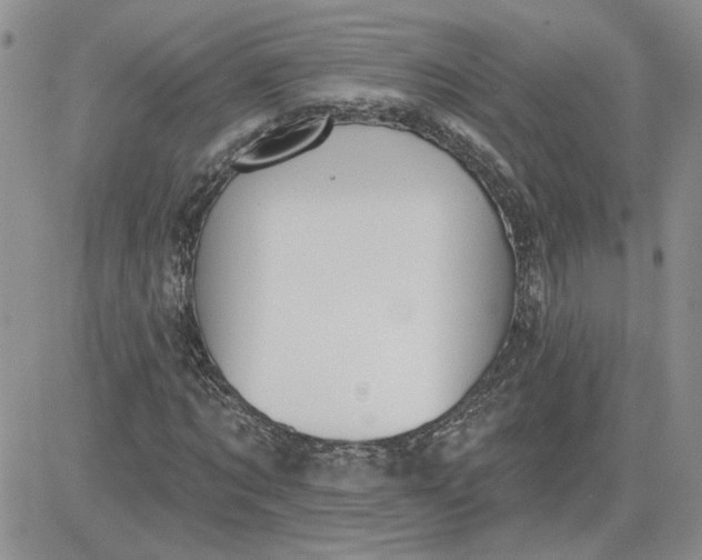 X0000081280869200701251625