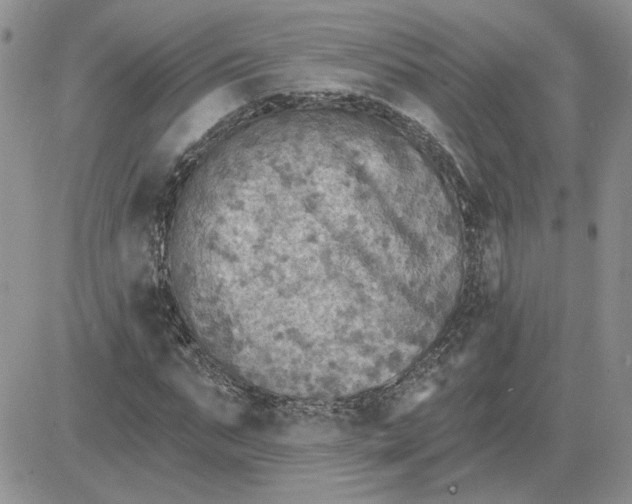 X0000081280871200701251625