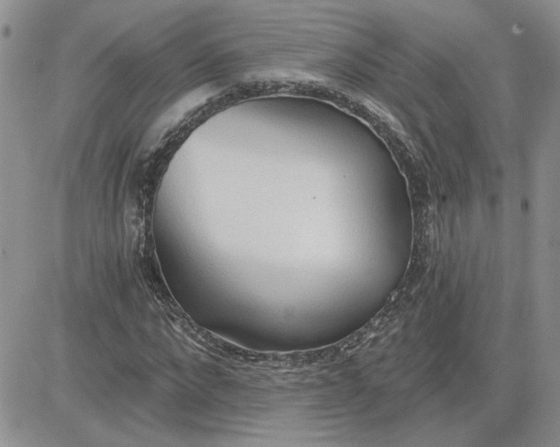 X0000081280872200701251625