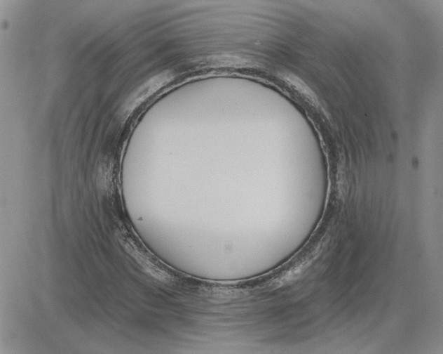 X0000081280873200701251625