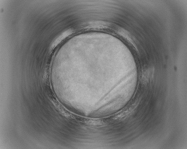 X0000081280874200701251625