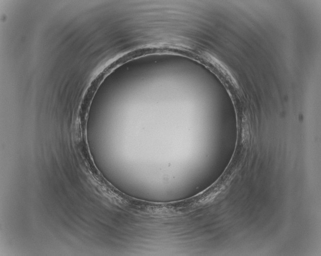 X0000081280876200701251625