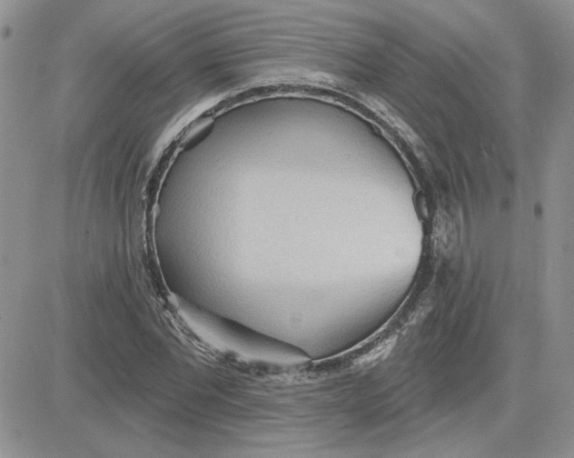 X0000081280877200701251625