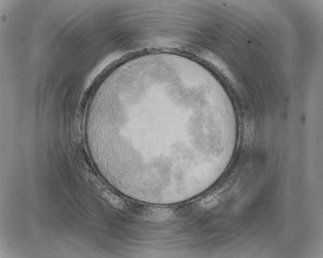 X0000081280878200701251625