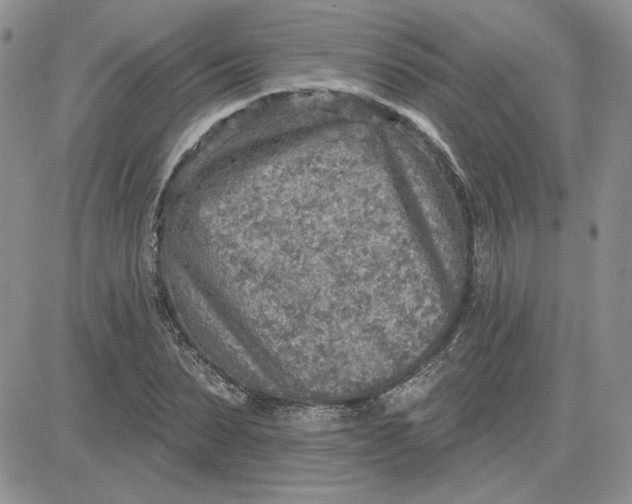 X0000081280879200701251625