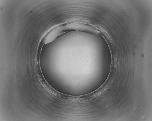 X0000081280880200701251625