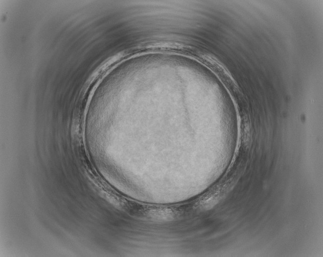 X0000081280882200701251625