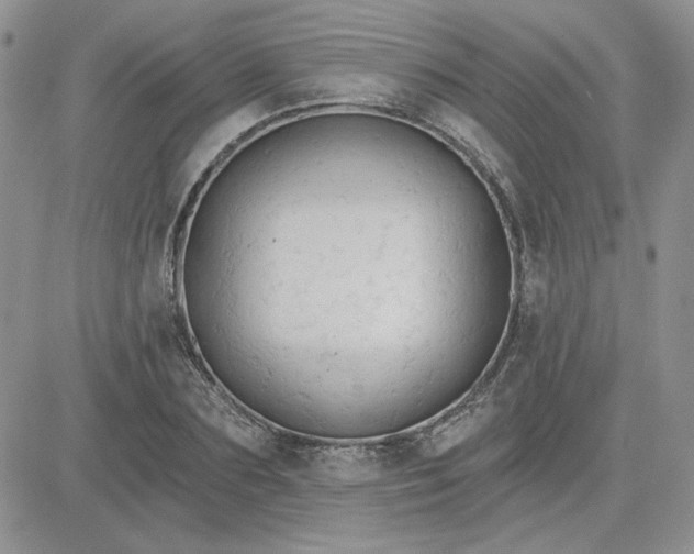 X0000081280883200701251625