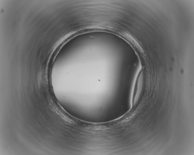 X0000081280884200701251625