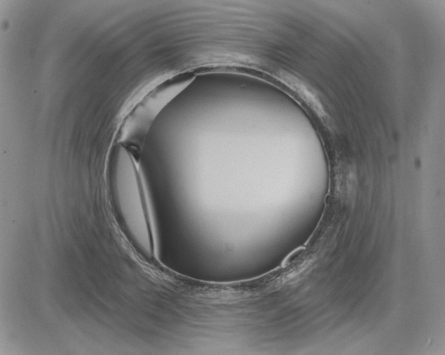 X0000081280885200701251625