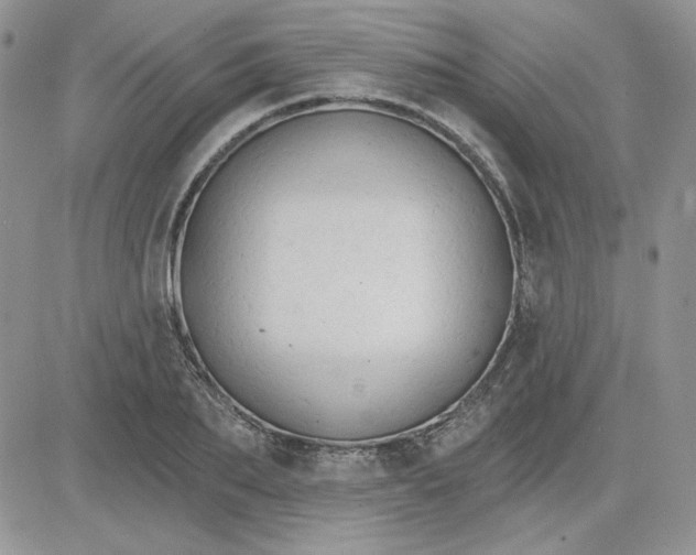 X0000081280887200701251625