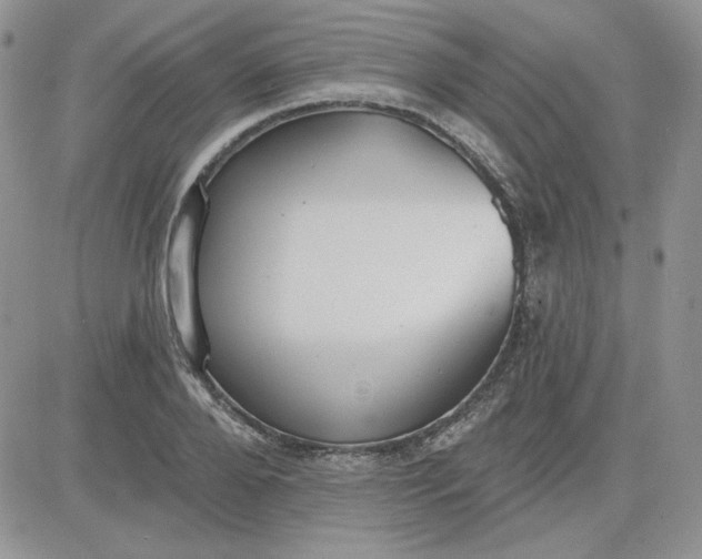 X0000081280888200701251625