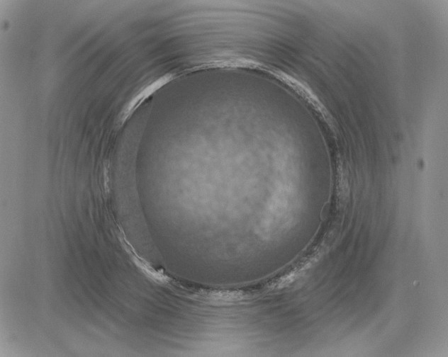 X0000081280889200701251625