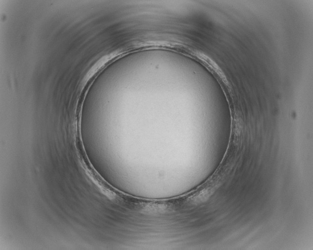 X0000081280890200701251625