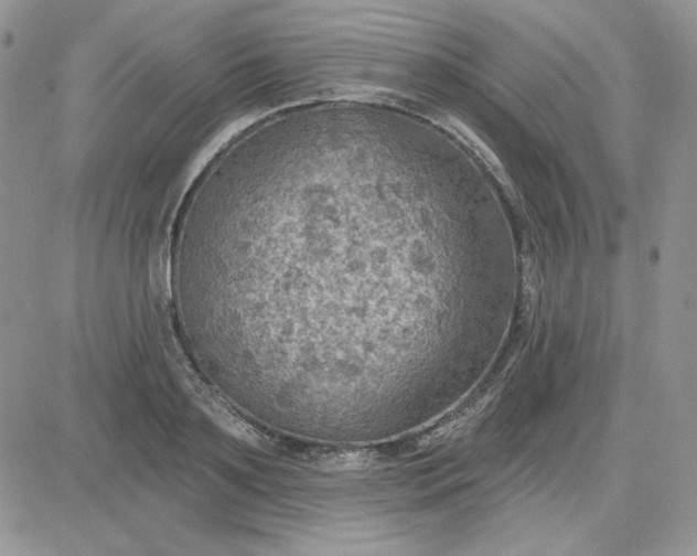 X0000081280891200701251625