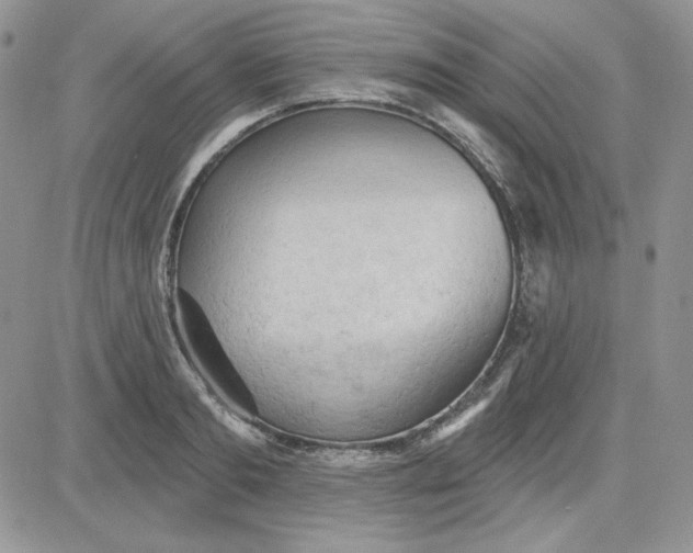 X0000081280893200701251625