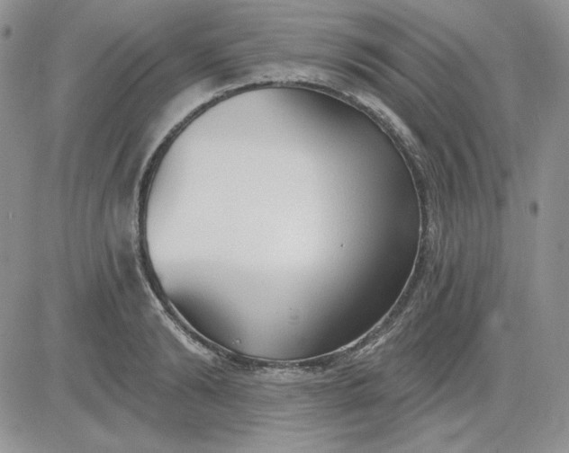 X0000081280894200701251625