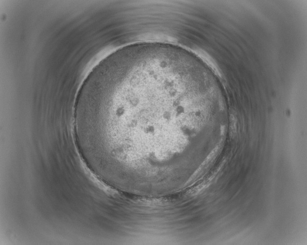 X0000081280895200701251625