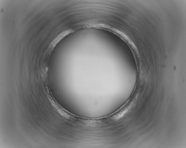 X0000081280897200701251625