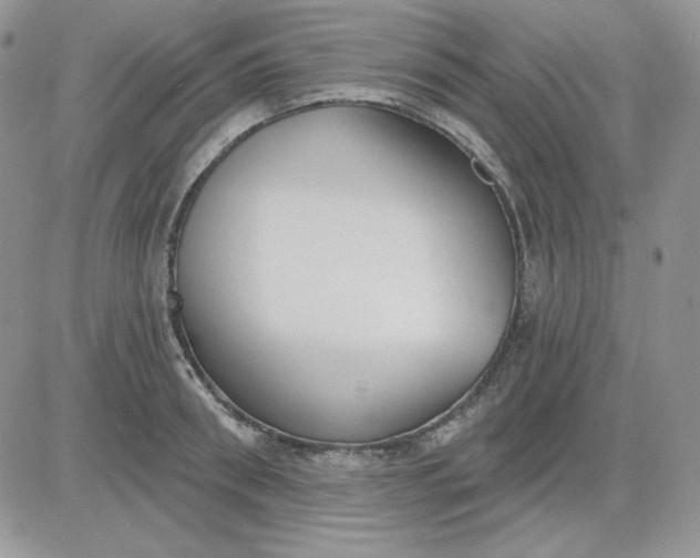 X0000081280898200701251625