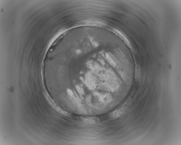 X0000081280899200701251625