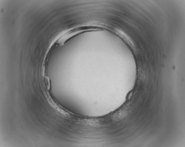 X0000081280900200701251625