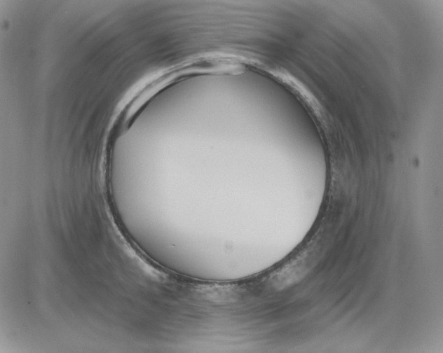 X0000081280902200701251625