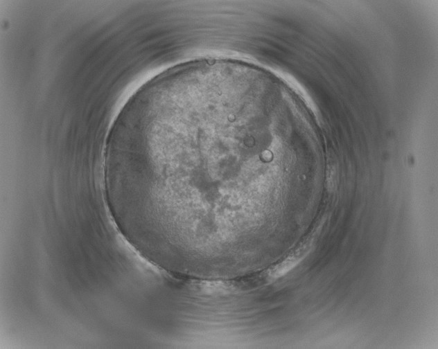 X0000081280903200701251625