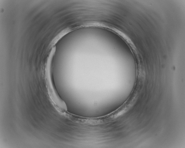 X0000081280905200701251625