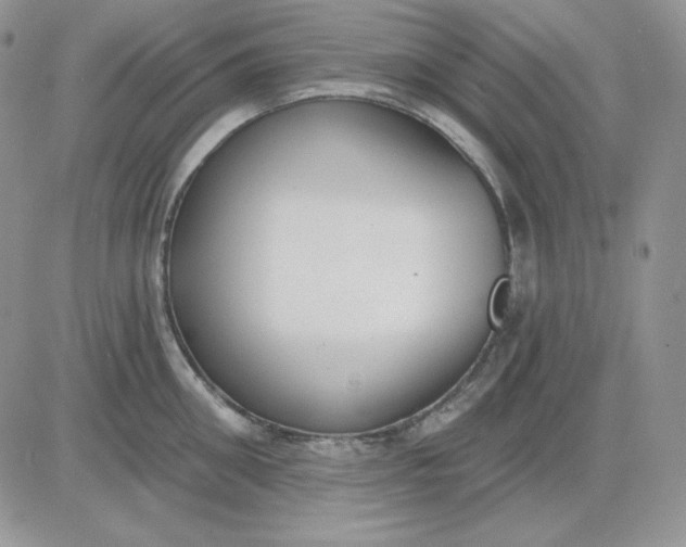 X0000081280906200701251625