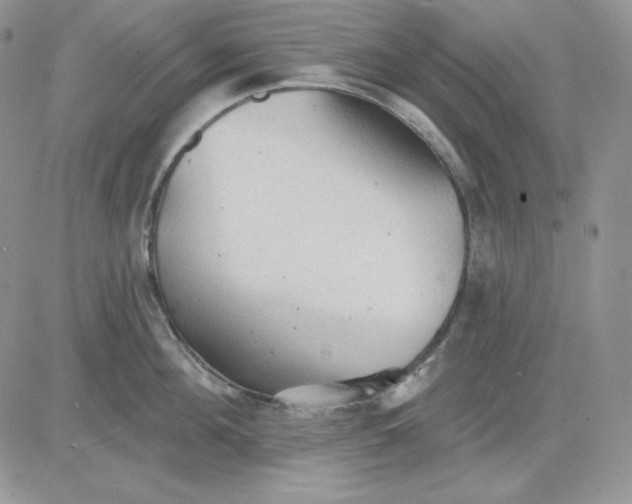 X0000081280908200701251625