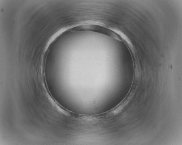 X0000081280910200701251625