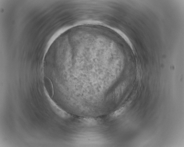 X0000081280911200701251625