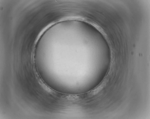 X0000081280912200701251625