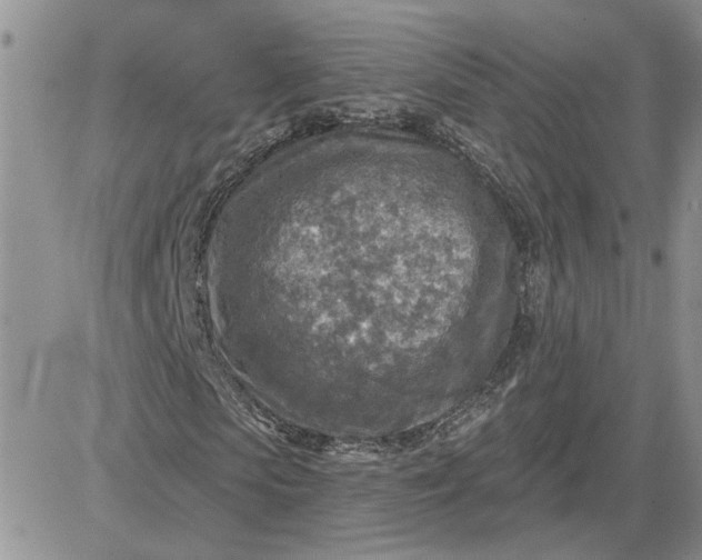 X0000081280913200701251624