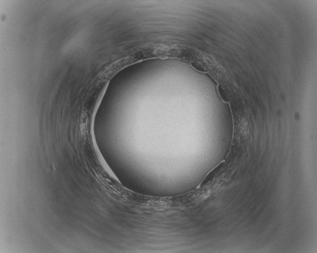 X0000081280914200701251624