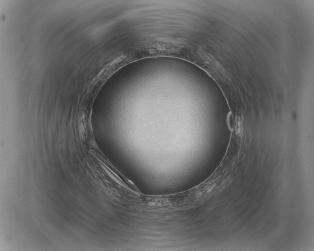 X0000081280915200701251624