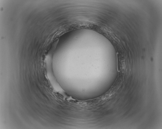 X0000081280916200701251624